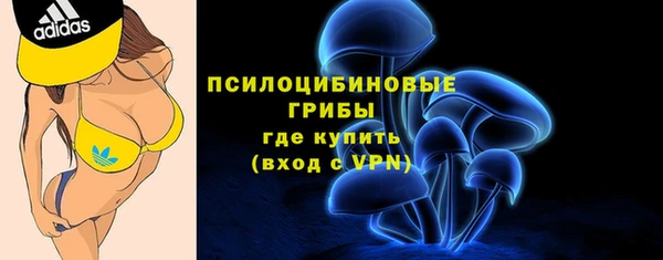 ПСИЛОЦИБИНОВЫЕ ГРИБЫ Богородск