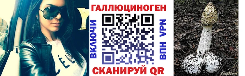 Псилоцибиновые грибы Magic Shrooms  omg ссылка  Богородицк  где купить наркотик 